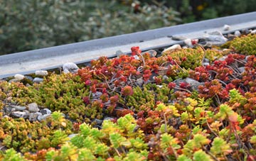 the cost of Effledge green roof installation